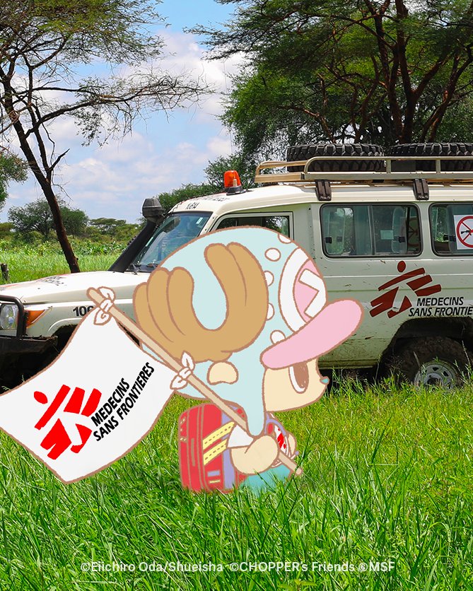 Chopper walking in the savannah